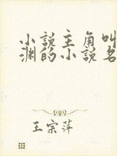 小说主角叫苏明渊的小说名字