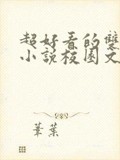 超好看的双男主小说校园文