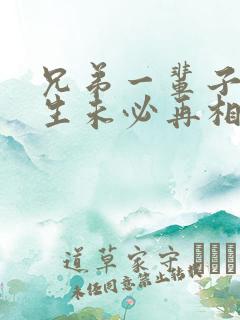 兄弟一辈子,来生未必再相遇是什么歌