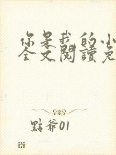 你是我的小确幸全文阅读免费