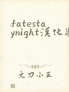 fatestaynight汉化版下载