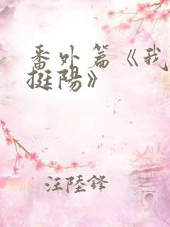 番外篇《我叫周挺阳》