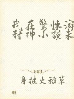 我在惊悚游戏里封神小说未删版下载