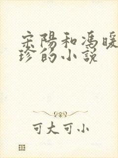 宋阳和冯暖陈丽珍的小说