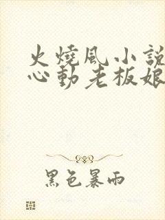 火烧风小说我的心动老板娘
