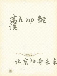 高h np 糙汉