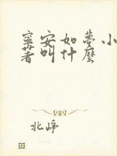 宁安如梦小说原著叫什么
