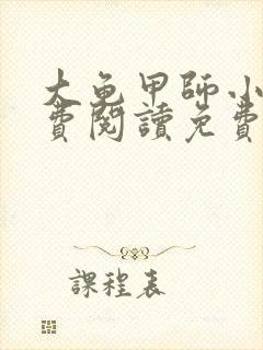 大龟甲师小说免费阅读免费一