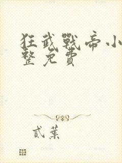 狂武战帝小说完整免费