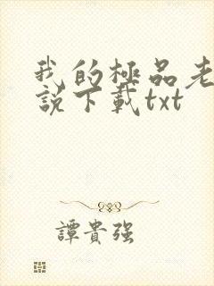 我的极品老婆小说下载txt