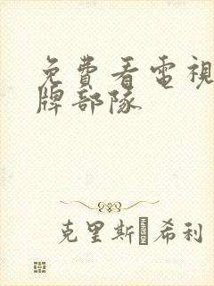 免费看电视剧王牌部队