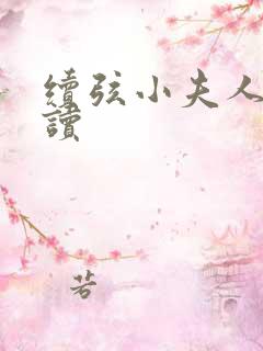 续弦小夫人 阅读