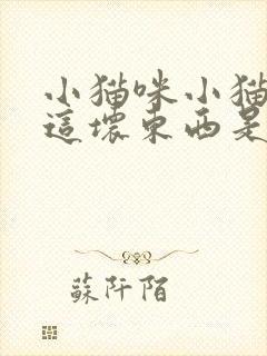 小猫咪小猫咪你这坏东西是哪首歌