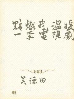 点燃我温暖你第一季电视剧免费观看