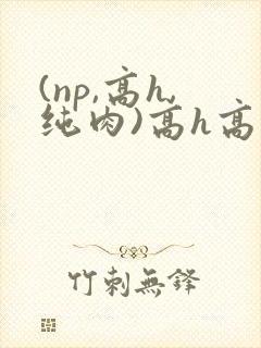 (np,高h,纯肉)高h高辣文
