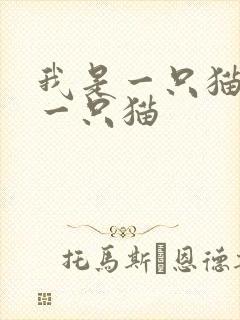 我是一只猫我是一只猫