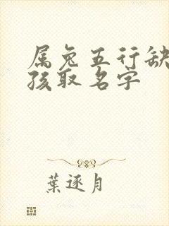 属兔五行缺金男孩取名字