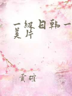 一级日韩一级欧美片
