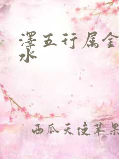 泽五行属金还是水