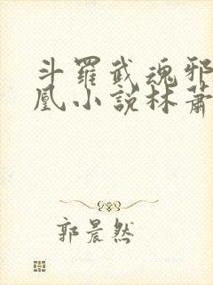 斗罗武魂邪火凤凰小说林萧结局