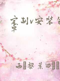 定制v安装包安卓