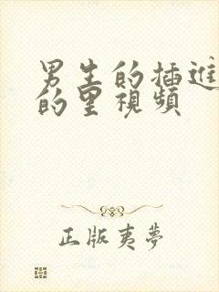 男生的插进女生的里视频