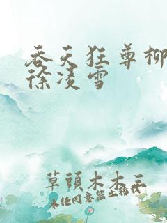 吞天狂尊柳无邪徐凌雪