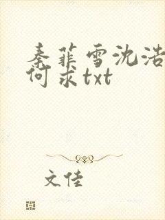 秦菲雪沈浩一生何求txt