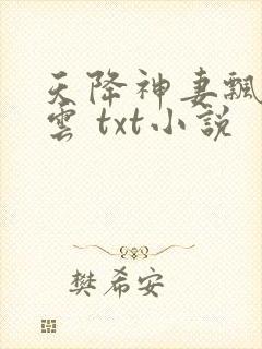 天降神妻飘荡的云 txt小说