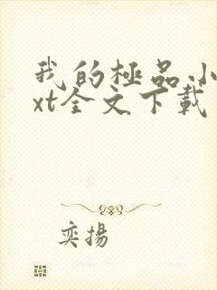 我的极品小姨txt全文下载