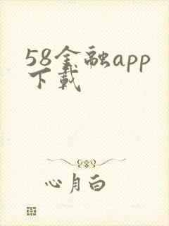58金融app下载
