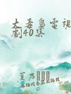 大毒枭电视连续剧40集