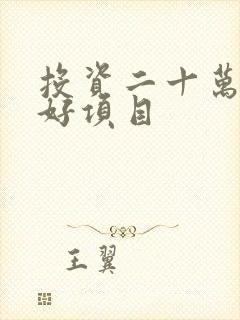 投资二十万挣钱好项目