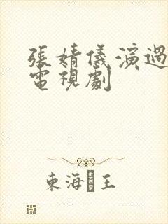 张婧仪演过哪些电视剧