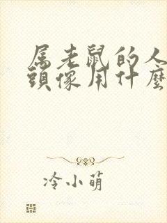 属老鼠的人微信头像用什么能旺财