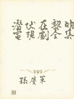 潜伏在黎明之前电视剧全集剧情介绍