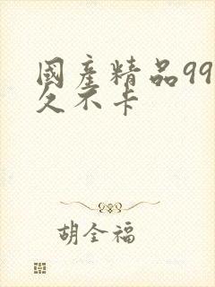 国产精品99久久不卡