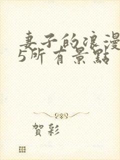 妻子的浪漫旅行5所有景点