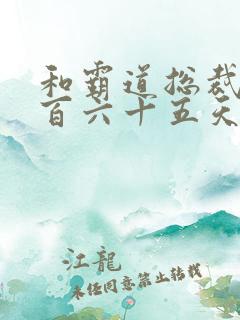 和霸道总裁的三百六十五天免费观看第三季