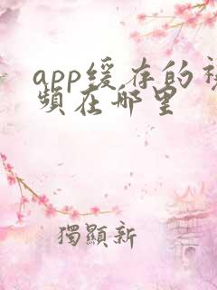 app缓存的视频在哪里