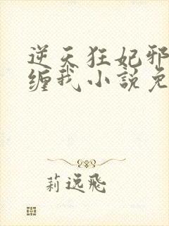 逆天狂妃邪王别缠我小说免费阅读