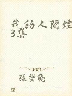 我的人间烟火第3集