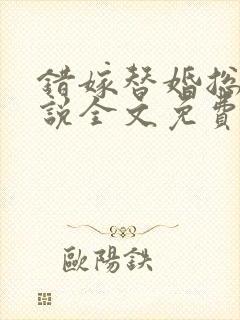 错嫁替婚总裁小说全文免费阅读