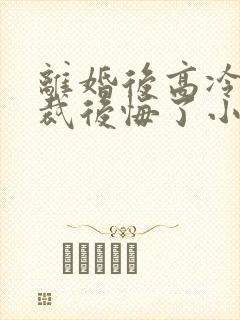 离婚后高冷女总裁后悔了小说笔趣