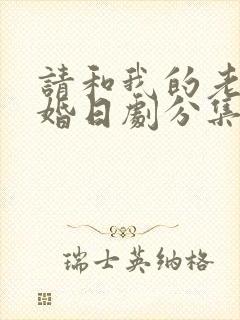 请和我的老公结婚日剧分集剧情