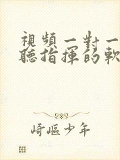 视频一对一聊天听指挥的软件