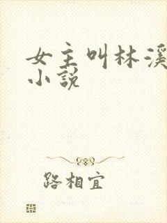 女主叫林溪月的小说