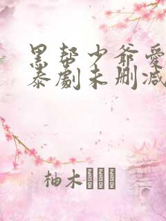 黑帮少爷爱上我泰剧未删减版