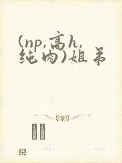 (np,高h,纯肉)姐弟