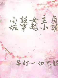 小说女主角叫苏婉穿越小说现代文